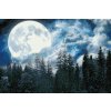 Diamond Painting - Full Moon over the Forest