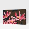 Paint by Number - Pink Flowers