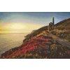Diamond Painting - Cornwall, Great Britain