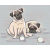 Diamond Painting - Pugs with little balls
