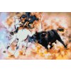 Diamond Painting - Bullfighting