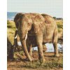 Diamond Painting - Safari - Elephant