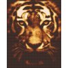 Diamond Painting - Tiger in Lights