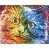 Diamond Painting - Colorful Cat 3