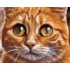 Diamond Painting - Cat Eyes 2