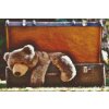Diamond Painting - Travel Bear
