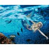 Diamond Painting - Mermaid