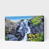 Paint by Number - Waterfall and Flowers