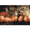 Paint by Number - Squirrel and Bird