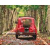 Paint by Number - Fiat 500