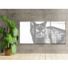 Dotting points - Wild Black Cat (set of 3)