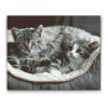 Diamond Painting - Kittens in Basket