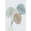 Paint by Number - Boho Monstera 2