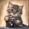 Diamond Painting - Kitten with a Camera