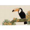 Diamond Painting - Tucan on a Tree Branch 