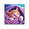 Diamond Painting - Kitten under cover