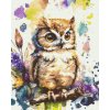 Diamond Painting - Owlet on a colourful backdrop