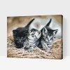 Paint by Number - Kittens