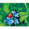 Paint by Number - Ladybug on Blue Flowers