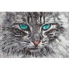 Paint by Number - Cat Portrait