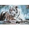 Paint by Number - Bengal Tiger