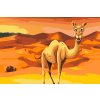 Paint by Number - Camel in the Desert