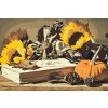 Paint by Number - Pumpkin and Sunflowers
