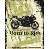Paint by Number - Born to Ride