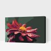Paint by Number - Red Dahlia 2