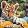 Paint by Number - Tiger Cub