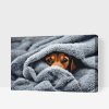 Paint by Number - Doggy eyes under the cover 2