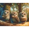 Diamantové malování - Tři sovičky