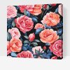 Malování podle čísel - Květinové pozadí - Růže