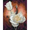 Paint by Number - White Roses
