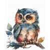 Diamantové malování - Sova s velkýma očima