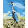 Paint by Number - Heron