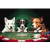 Diamantové malování - Psí poker 2