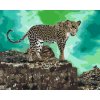 Paint by Number - Leopard Lurking for Prey