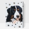 Paint by Number - Dog with Paws