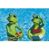 Paint by Number - Frogs on Vacation