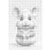 M11_Dotting_Points_-_Hamster_for_children