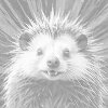 M11_Dotting_Points_-_Porcupine_in_shades_of_red_and_blue