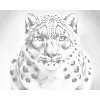 M11_Dotting_Points_-_Leopard