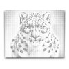 M2_Dotting_Points_-_Leopard