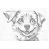 M11_Dotting_Points_-_Cheerful_Dog