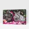 Paint by Number - Rabbits among Flowers