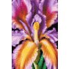 M11_Diamond_Paintings_-_Iris_flower