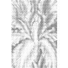 M11_Dotting_Points_-_Iris_flower
