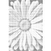 M11_Dotting_Points_-_Daisy_flower