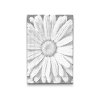 M2_Dotting_Points_-_Daisy_flower